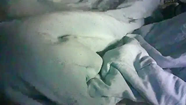 _P3RKY_IMMORTAL3_FIR3_'s Live XXX Chat