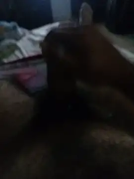 franck10En Webbikameraesitys