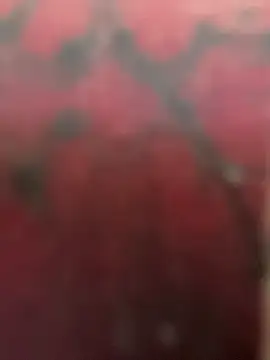 Chat +18 de EliteBitch ao vivo