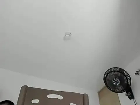 GilberMxx's Live XXX Chat