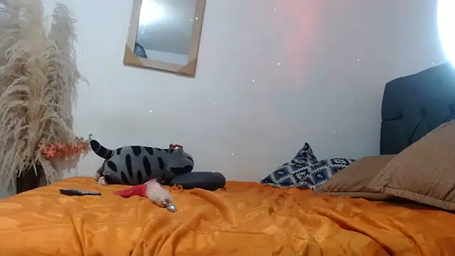 Angeliicaxx: απευθείας συνομιλία ΧΧΧ