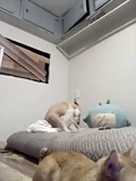 SexyB214's Live XXX Chat