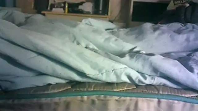 دردشة _P3RKY_IMMORTAL3_FIR3_ الجنسية المباشرة