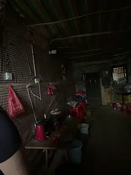 xiaoxiong0508 Show Webcam