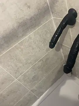 عرض كام BobKat