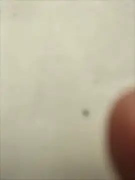 Pitercom Live XXX-chat