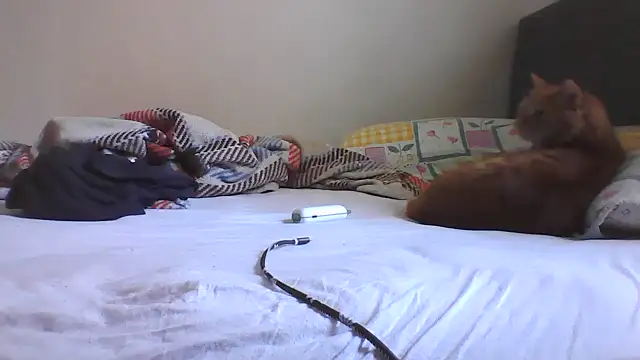 HotwifeAvcisiOlgunAdam লাইভ XXX চ্যাট