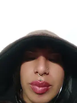 MeelFox 即時 XXX 聊天