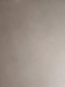 Thicknessddx's Live XXX Chat