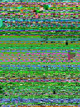 LilluKatten Live XXX-Chat