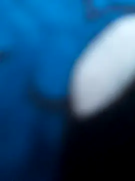 -Tara-a Chat XXX in diretta