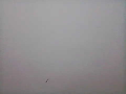 Chat XXX Live stallony