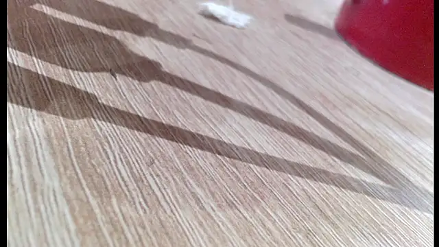 alieninhumanbody1 – Naživo XXX chat