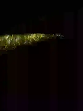 Chat XXX ao vivo de biggandybig