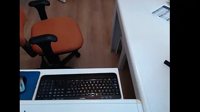 Show webcam de dutchpornking