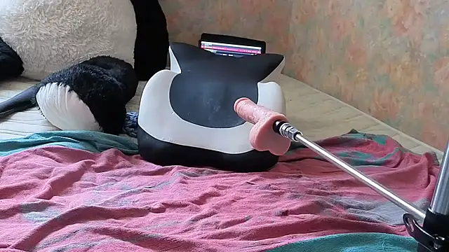 Dominalilirose élő XXX-chatje