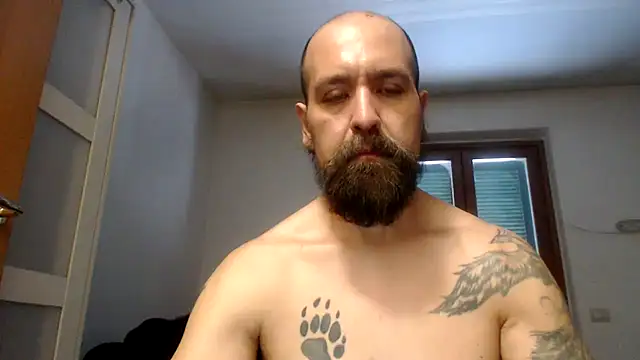 Show de AMIRDIB2025 na webcam