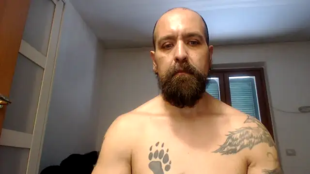 Show de AMIRDIB2025 na webcam