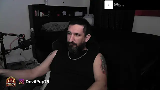 DevilPup75_ লাইভ XXX চ্যাট