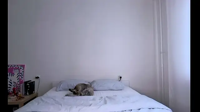 Chat XXX ao vivo de Milky___Way