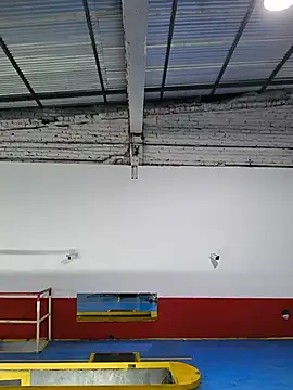 diegopalacios69 现场XXX聊天