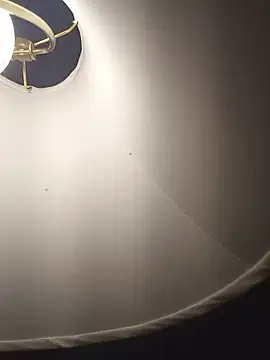 Show Webcam de sexboybwc_assfucker