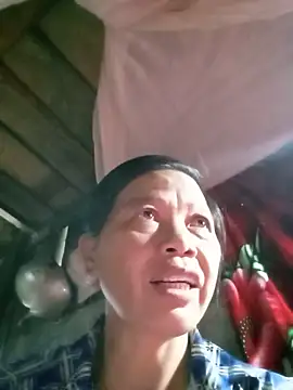 Elfledaa 现场XXX聊天