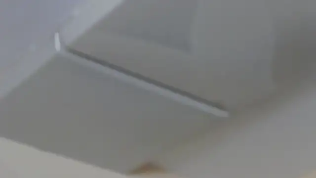 LeiaHuk Live XXX-Chat