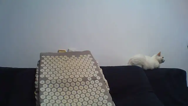 KaelNoxn Live XXX chat