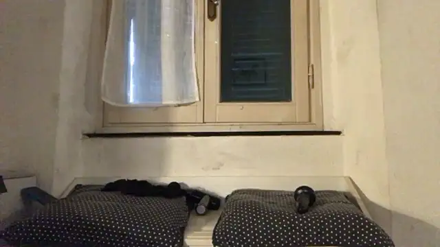 Chat XXX Live bornsinfull