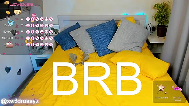Živý XXX chat wildrossy