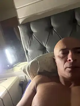 Chat +18 de dogfrota ao vivo