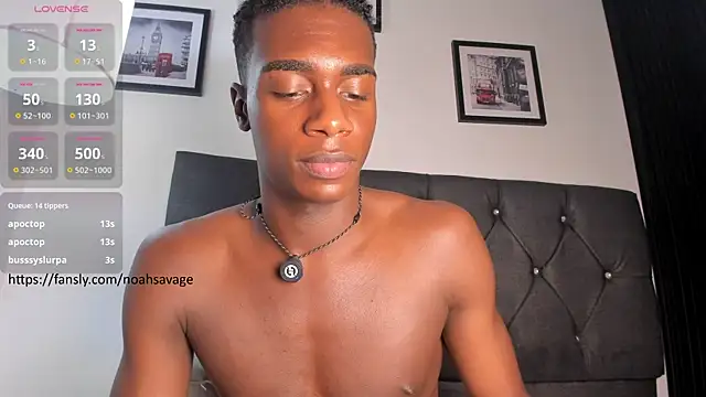 Chat XXX en directo de noah_johes