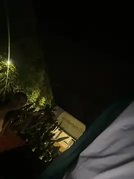 lindaandtony 现场XXX聊天