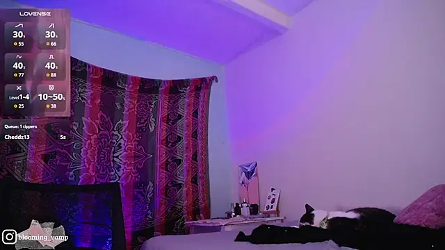 Chat +18 de dark__nymph ao vivo