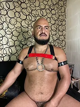the_master_foal_ Live XXX-Chat