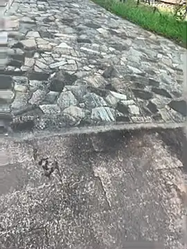 YELURK Pertunjukan Webcam
