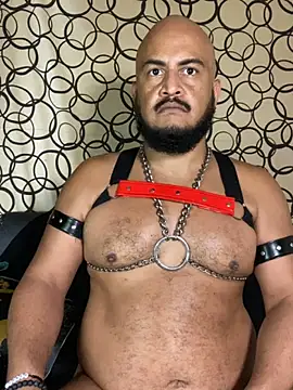 Chat XXX ao vivo de the_master_foal_