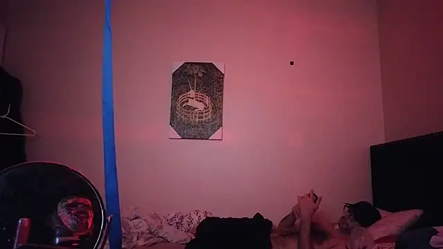 הופעת וובקאם של hailzeffn