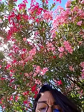 Chat +18 de sexy7883 ao vivo
