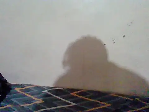 ShadowStreamX Chat XXX live