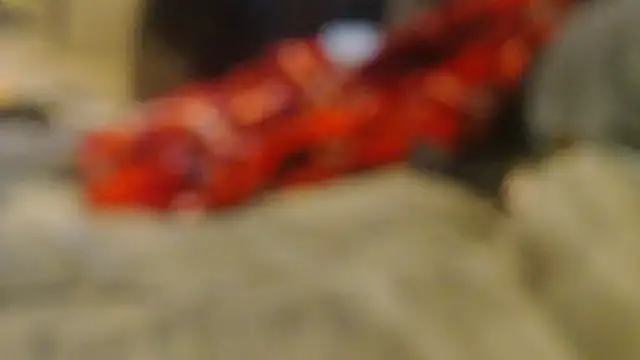 Chat XXX en directo de snickers1