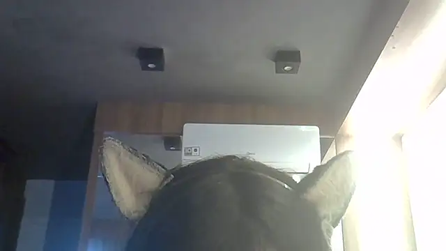 Show de SkinnyKitten na webcam