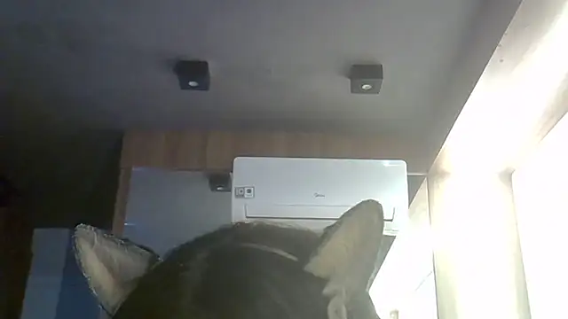 Show de SkinnyKitten na webcam
