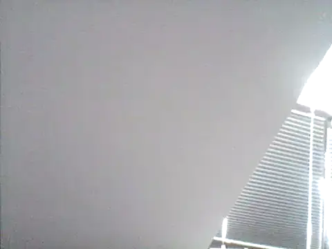 FleshlightFan Show in webcam