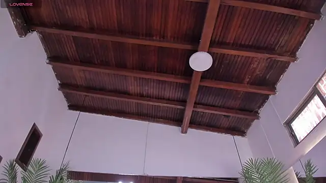Chat +18 de emily-fox ao vivo
