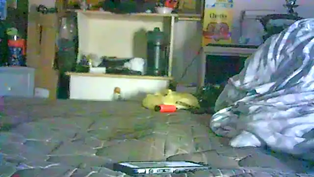 Chat XXX en directo de _P3RKY_IMMORTAL3_FIR3_
