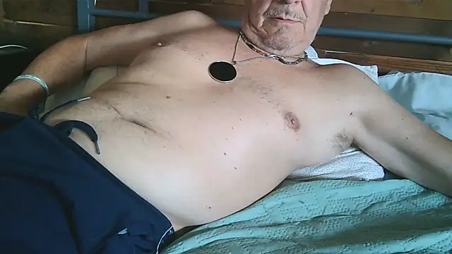 Chat +18 de gyodybis ao vivo