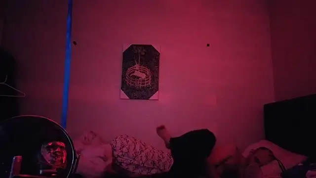 hailzeffn's Webcam Show