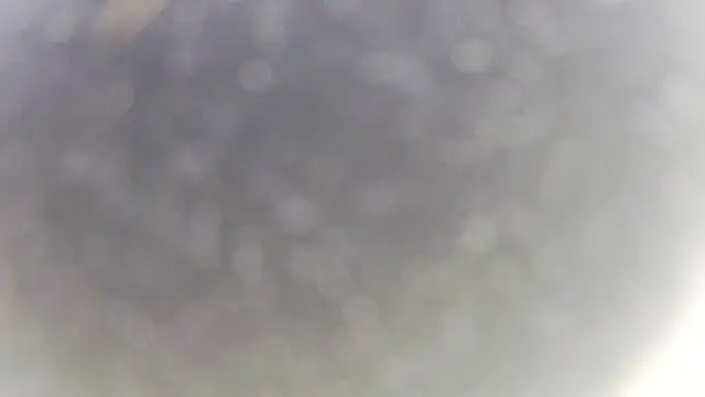 Онлайн чат XXX LynnAngel
